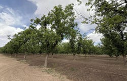 4695 Snow Road, Las Cruces, NM 88005