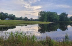 0 County Rd 317, Woodville, AL 35776