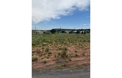 0 Canadian Drive, Conchas Dam, NM 88416