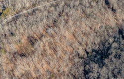 000 Marigold, Lebanon, MO 65536
