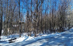 0 Mountain View Road, Windham, NY 12496