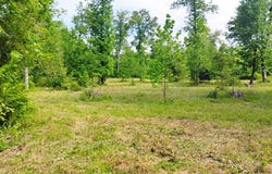 Tract 1 Kulp Road, Boles, AR 72926