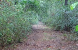 Sweetbay Lane, Wiggins, MS 39577