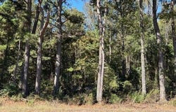 I-30 & Highway 67, Hope, AR 71801-0000