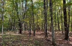 1.2 Wart Rd., Orwell, NY 13426