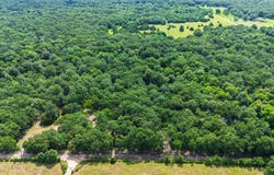 604 County Road 3561, Dike, TX 75437