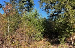8886 Hemlock Hill Drive, Traverse City, MI 49685