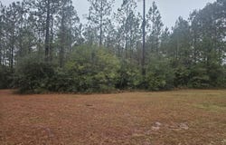 E Lake Cypress Drive, Perkinston, MS 39573
