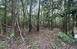 Lot 8 & 9 E WILDWOOD DR, Village Mills, TX 77663