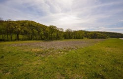12.5 acres County Road S, Boscobel, WI 53805