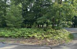7 Deer Park, Glen Arbor, MI 49636