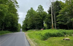 Luce Road, Bemus Point, NY 14712