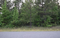 #1 Ryans Way, Minden, LA 71055
