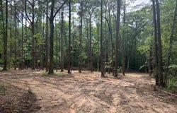 3466 County Road 203, Dothan, AL 36301