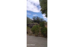 0000 W DOGGIE Drive, Swift Trail Junction, AZ 85546