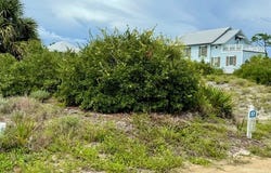 115 Loggerhead Ln, Cape San Blas, FL 32456