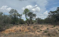 W Briarway Drive lot: 260, Granite Shoals, TX 78654
