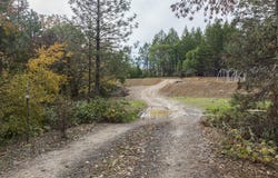185 S Shore Drive, Selma, OR 97538