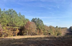 TBD Hwy 270, Malvern, AR 72104