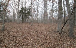 0 Mo-30/Gravois Rd, St Clair, MO 63077