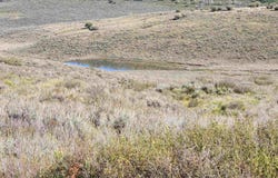 Tbd Divide Road, Gateway, CO 81522