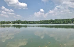 66223 Grey Lake Road, Sturgis, MI 49091