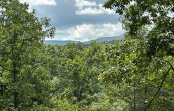 113 ACRES OFF CAPON SPRINGS ROAD, YELLOW SPRING, WV 26865