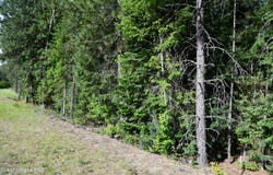 100 Vets Rd, Pinehurst, ID 83850