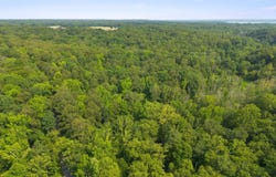 Lot 2 SALEM CHURCH ROAD, KING GEORGE, VA 22485