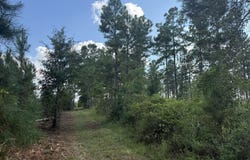 002 George Milling Road, Cuthbert, GA 39840