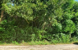 1671 Desoto Road, Orangeburg, SC 29115-0000