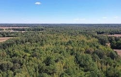0 Smith Rd, Luray, TN 38352