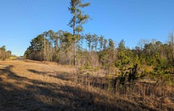 7884 Winnsboro Road, Columbia, SC 29203