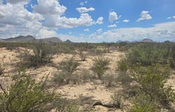 19932 Sons of Libery Rd, Terlingua, TX 79830