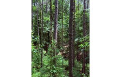 454 County Road 211, Carrollton, MS 38917