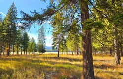 19 Faro Lane, Trout Creek, MT 59874