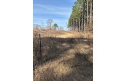 Wanda Acres Rd, Many, LA 71449