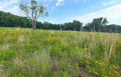 1937 E 850 Road, Lecompton, KS 66050