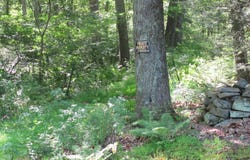 42 Lake Road, Bozrah, CT 06334