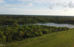 Lewis Lane, Starkville, MS 39759