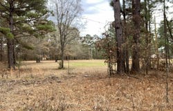 Tract 2 Venus Rd, White Oak, TX 75693