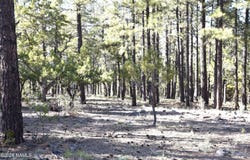 1085 Timbernook, Williams, AZ 86046