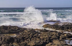 438 SHELLMIDDEN Way, Yachats, OR 97498