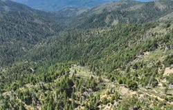 2510 Fs Road, Hyampom, CA 96046