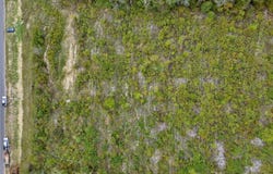 HIGHWAY 75 lot: 0, REMLAP, AL 35133