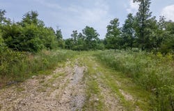 10916 Stella Way, Birch Tree, MO 65438