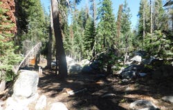 Kitch Trail, Tamarack, CA 95223