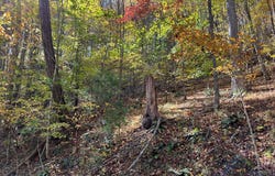 Tbd Grayson Parkway, Galax, VA 24333