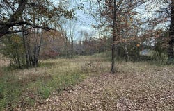 3 SPRING COVE ROAD lot: 3, WARRIOR, AL 35180