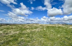 Tbd Bluebird Ln., Viola, ID 83872
